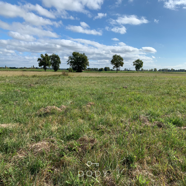 Offres de vente Terrain Saint-Pierre-d'Eyraud 24130