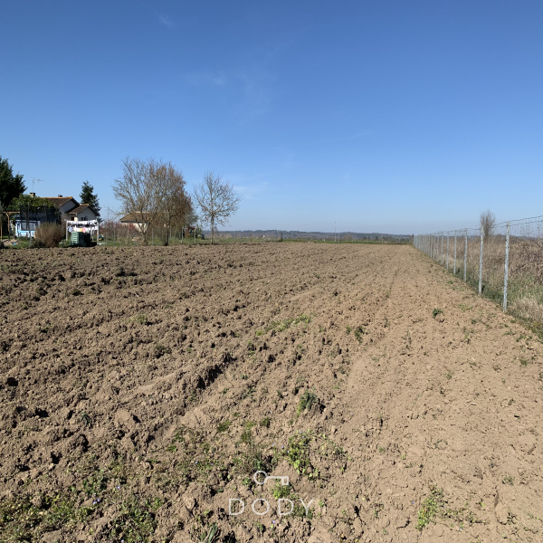Offres de vente Terrain Saint-Pierre-d'Eyraud 24130